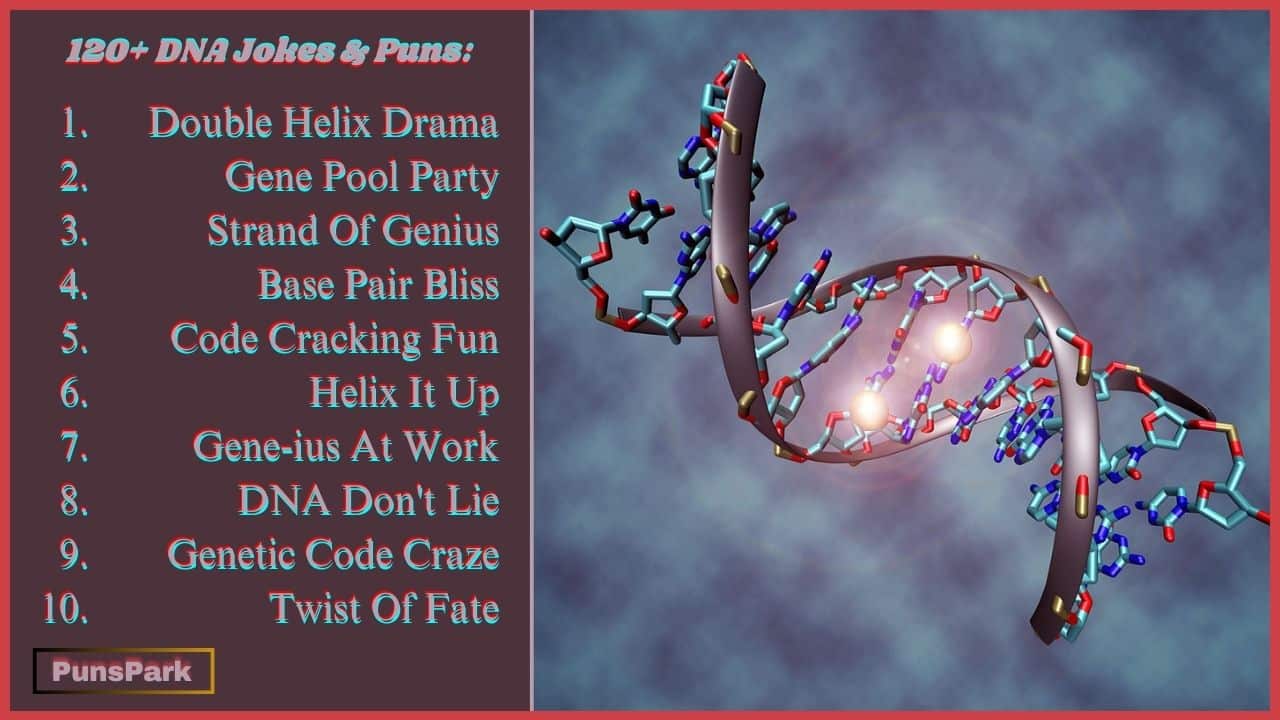 120+ DNA Jokes & Puns: You Have Got to Be Kidding Me!