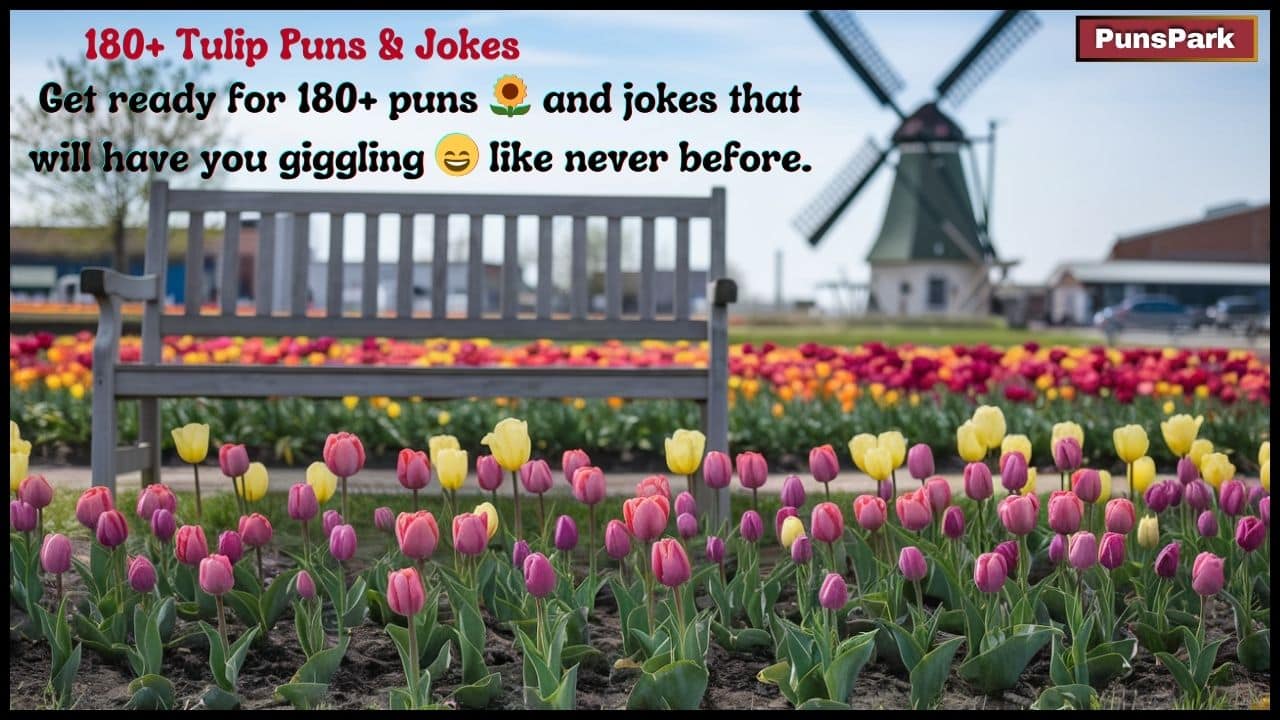 Tulip Puns