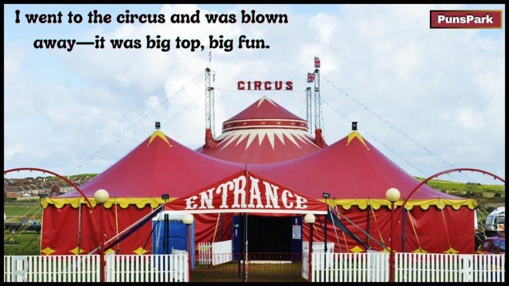 150+ Circus Puns & Jokes: Laughing Under the Big Top
