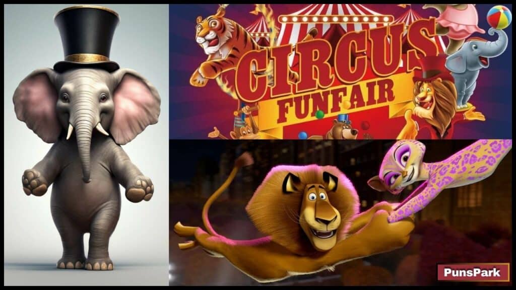 150+ Circus Puns & Jokes: Laughing Under the Big Top