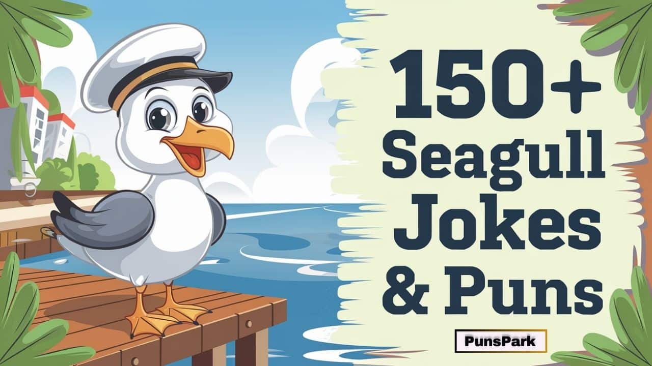 150+ Best Seagull Jokes & Puns: You’re Gonna Have a Birdthday!