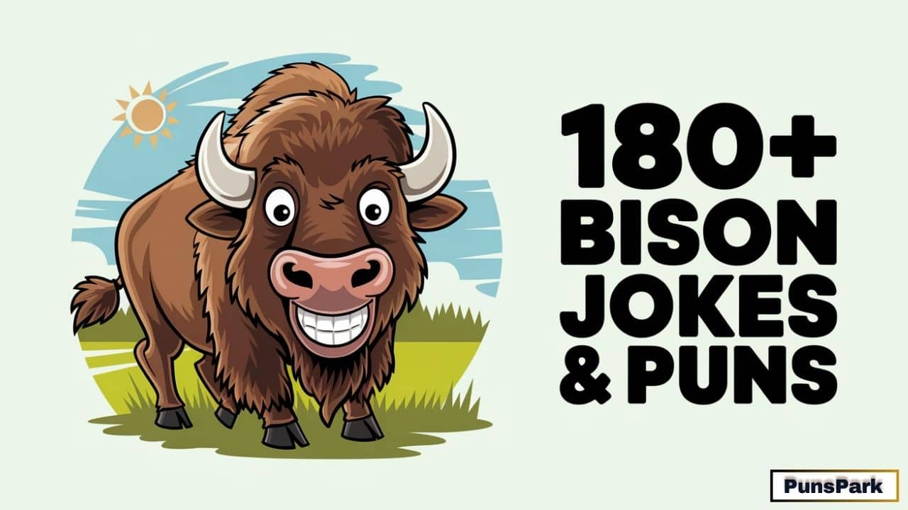 180+ Best Bison Jokes & Puns