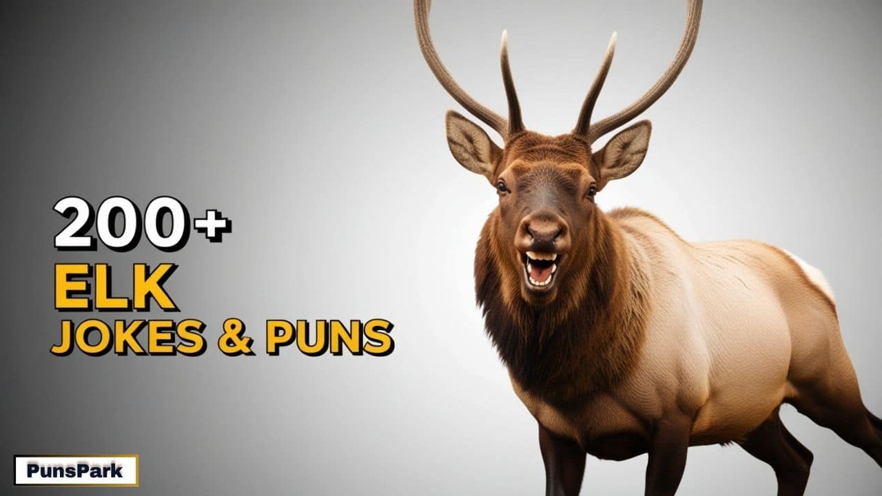 200+ Best Elk Jokes & Puns