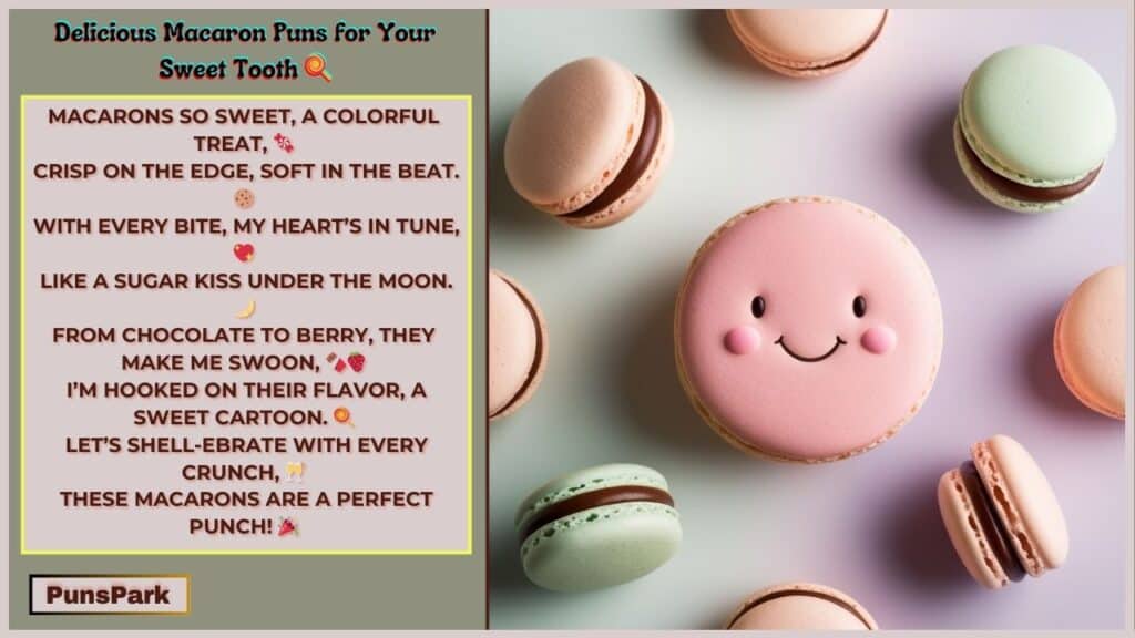 Macaron Jokes