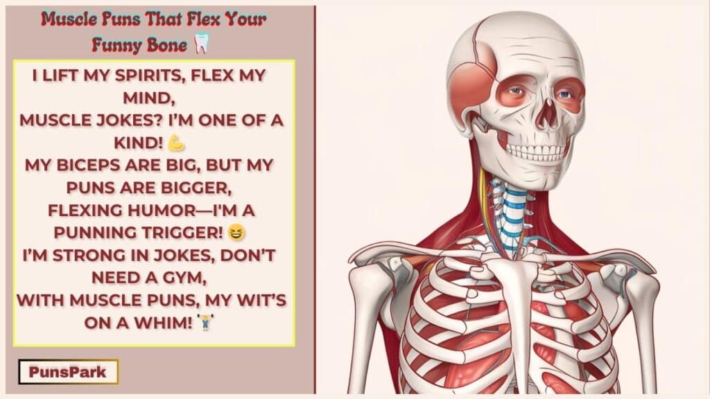 Anatomy Puns