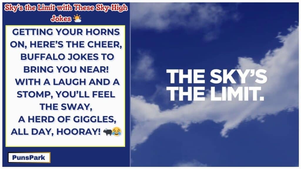 Sky Jokes