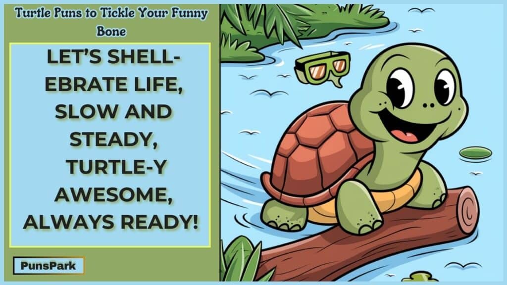 Turtle Puns