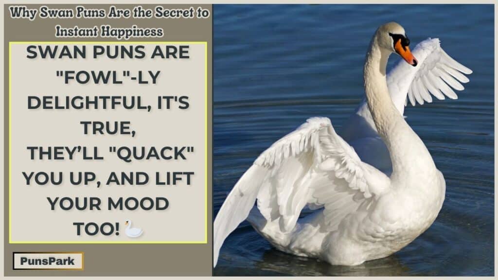 Swan Jokes