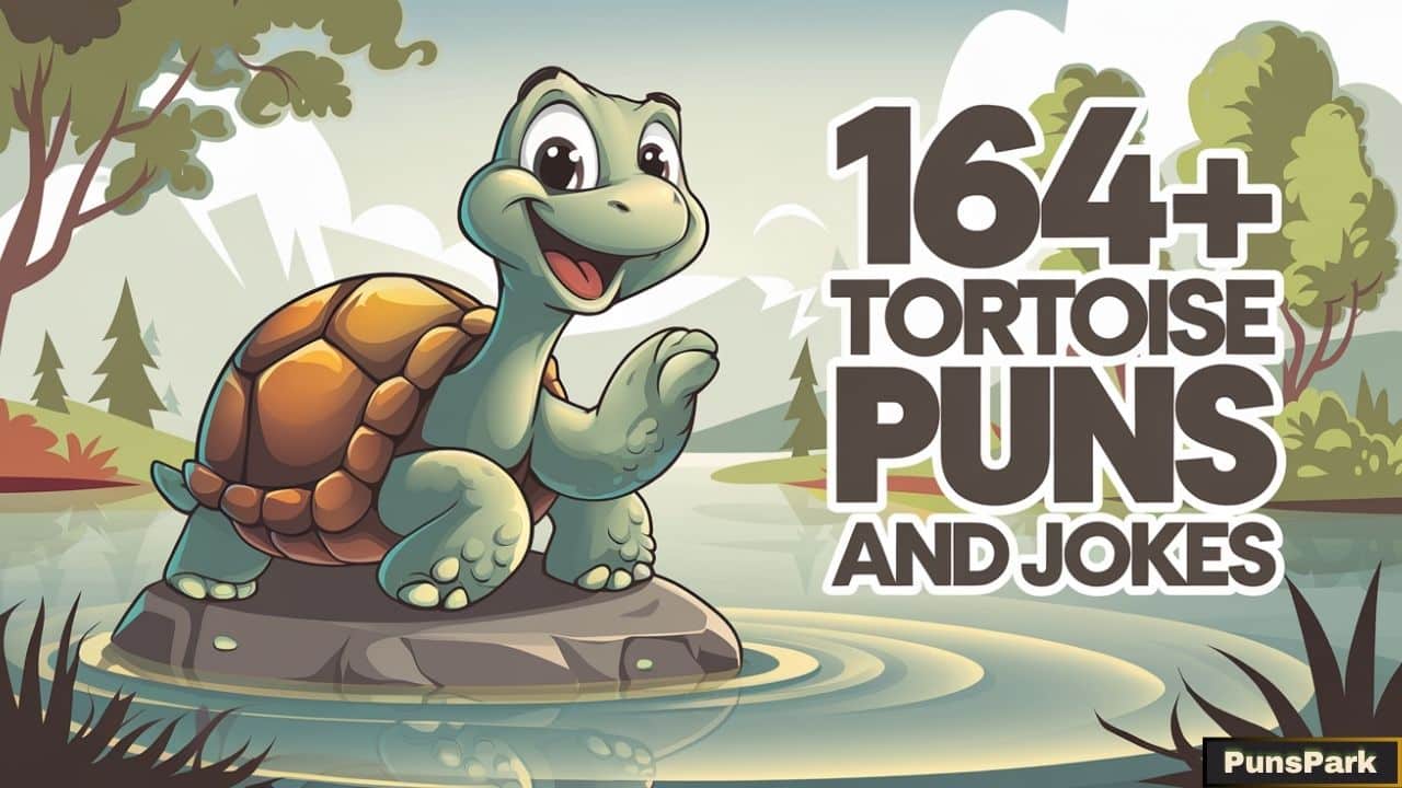 164+ Tortoise Puns And Jokes