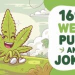 169+ Weed Puns And Jokes To Keep You Rolling With Laughter