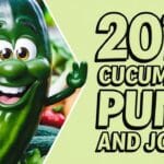 201+ Cucumber Puns And Jokes To Make You Laugh And Lighten Your Day