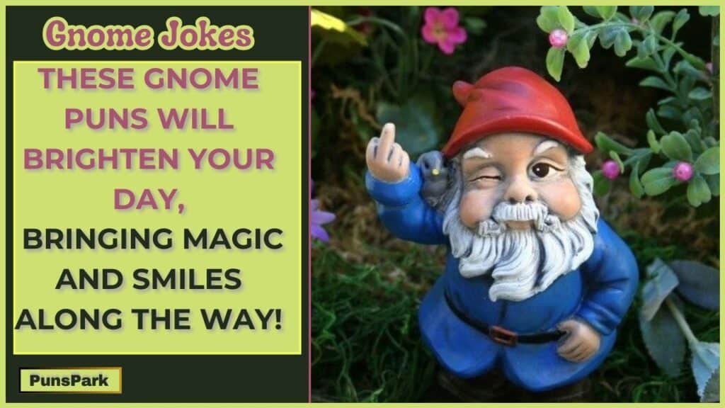 Gnome Jokes