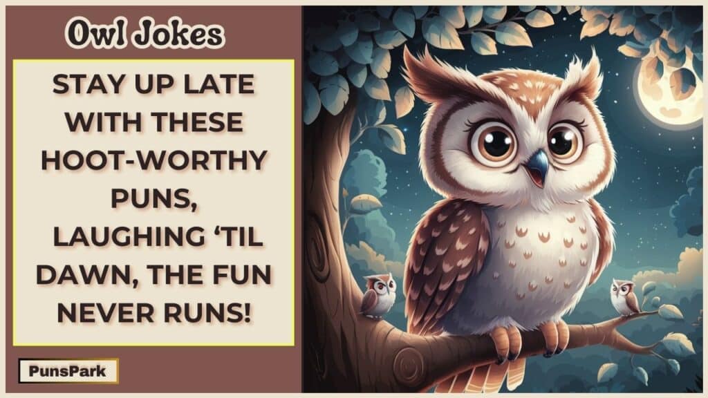 Owl Jokes