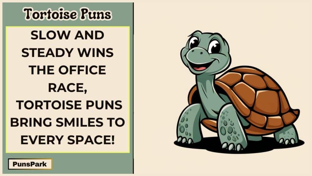 Tortoise Puns