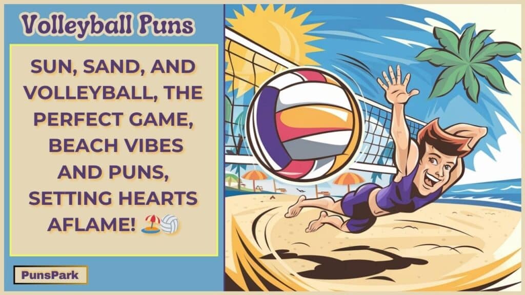 Volleyball Puns