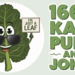 166+ Kale Puns And Jokes